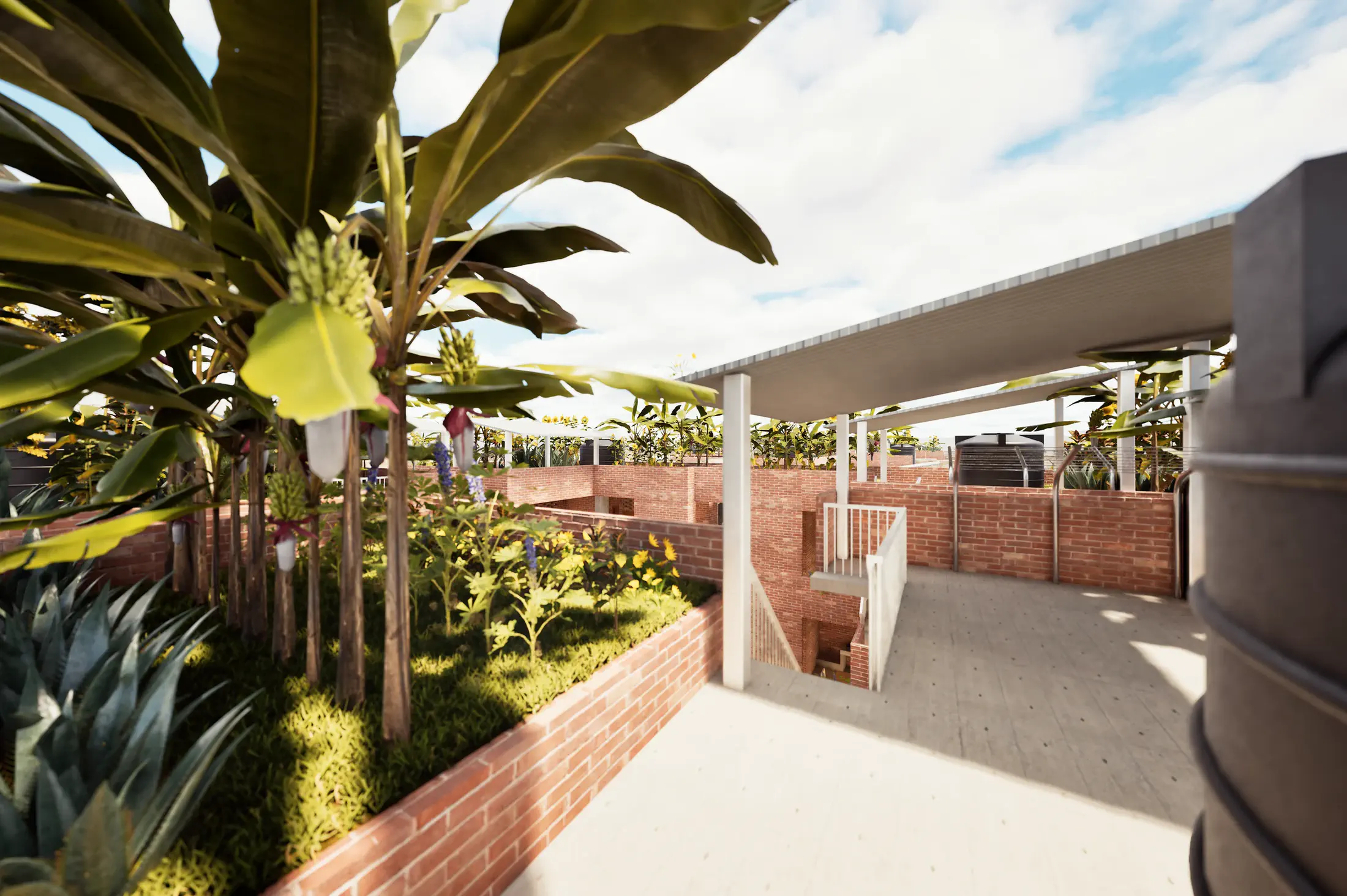 Proposed: rooftop garden with banana palms and covered walkway