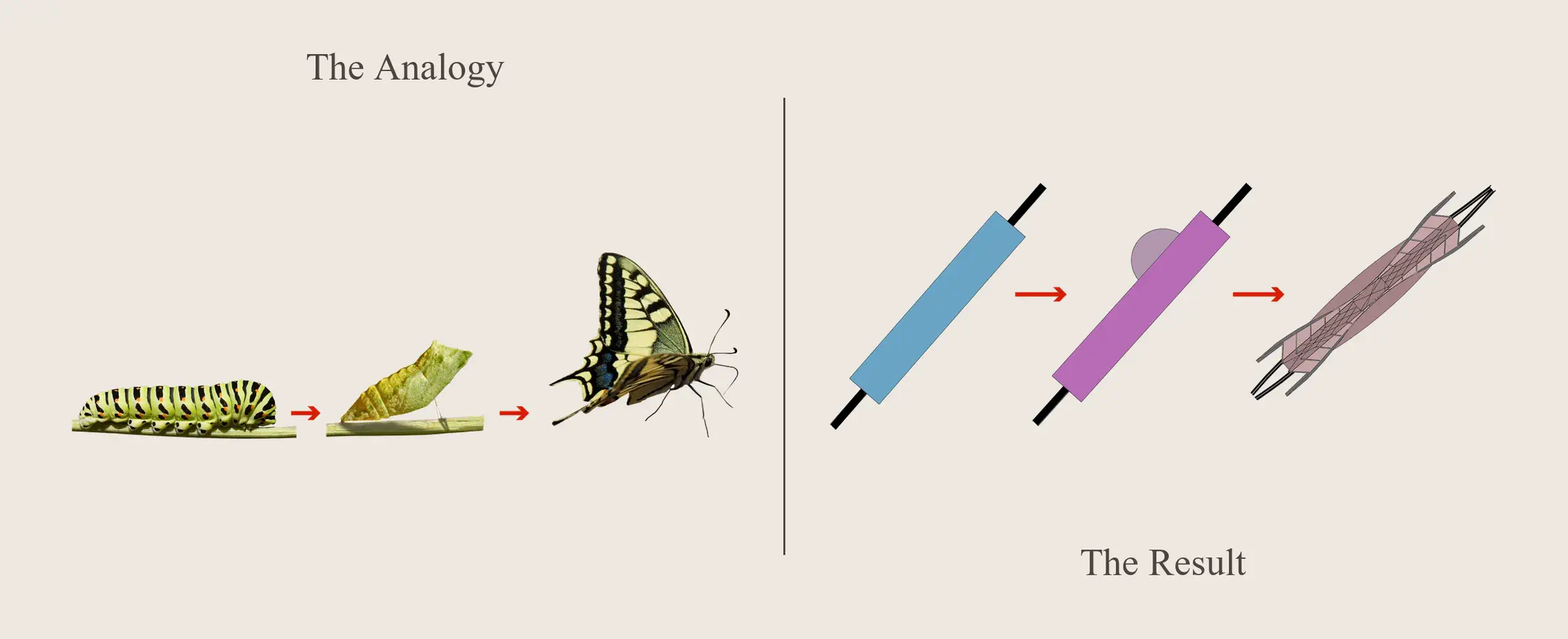 Parti diagram: the analogy of caterpillar, chrysalis and butterfly mapped onto the station's transformation from a linear bar to the final butterfly-silhouette plan