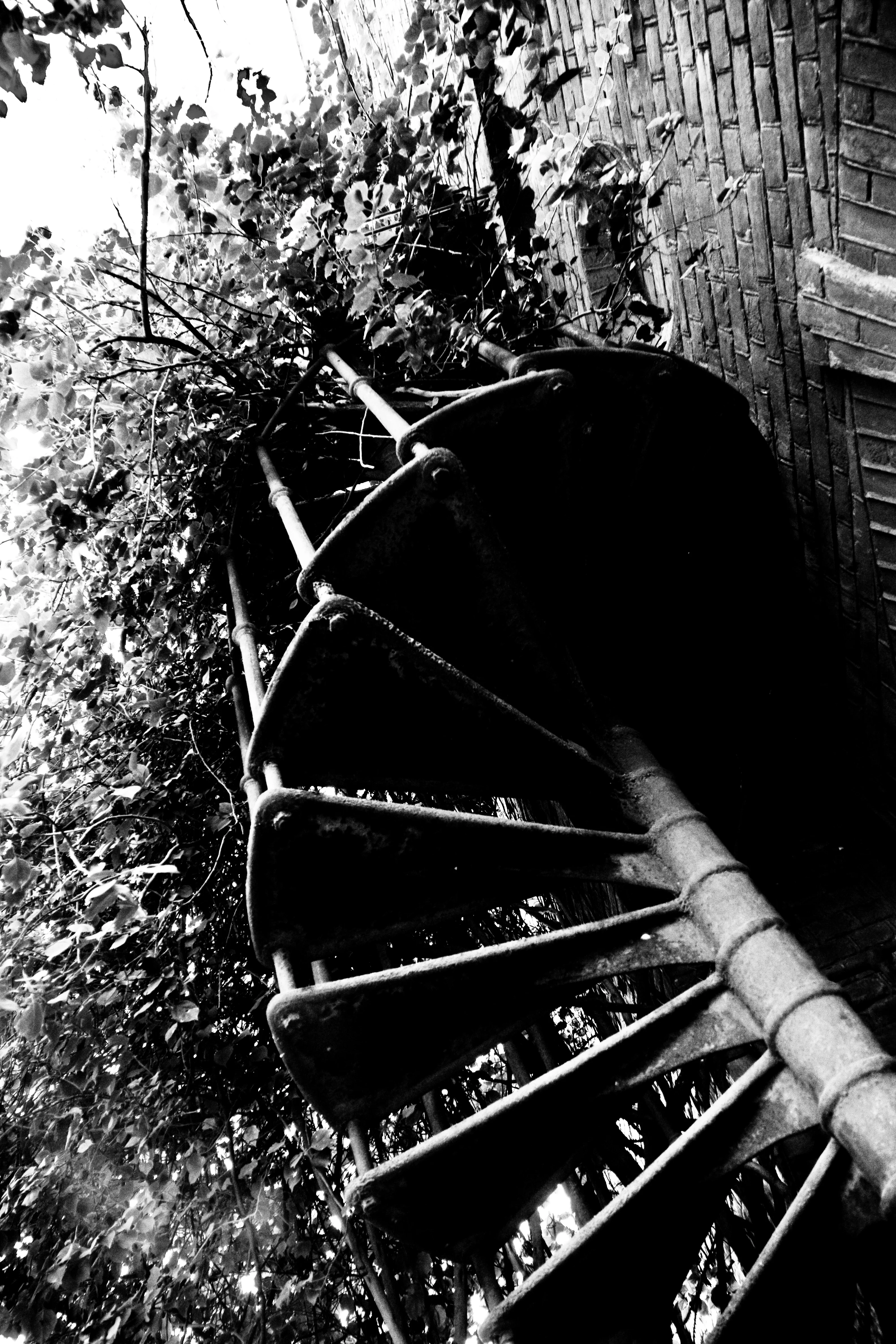 Spiral Stair